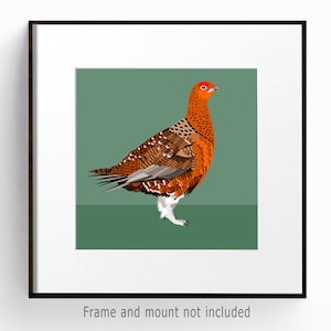 Illustrazione di uccello da caccia Red Grouse: stampa artistica da parete rustica per fattoria per l'arredamento della cabina di caccia