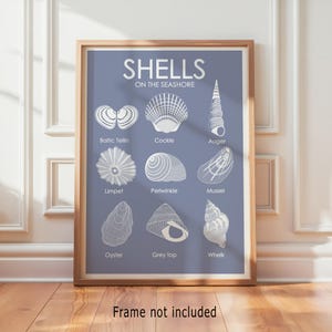 Muszle z brzegu morza, dekoracja ścienna w stylu nadmorskim, ilustracja do łazienki w domku na plaży