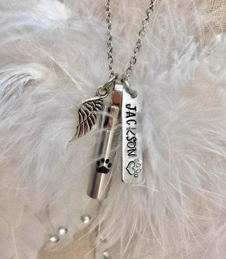 May include: Silver necklace with a small urn, a paw print charm, a wing charm, and a tag that says "JACKSON" with a heart and paw print.