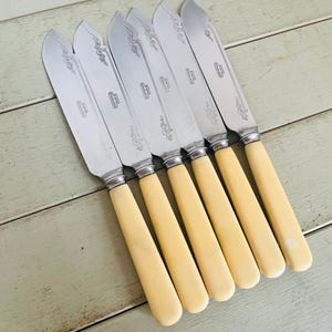 May include: A set of five silver-toned stainless steel knives with cream-colored handles. Each knife blade features a decorative etched scroll pattern near the bolster and is stamped with the text Sheffield Stainless. The knives have smooth, rounded handles.