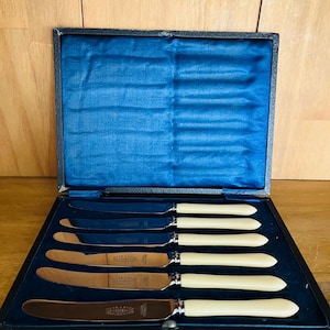 May include: A set of antique knives in a black case with a blue velvet lining. The knives have cream-colored handles and silver blades. The case is open, displaying the knives in a neat row. The blades have text.