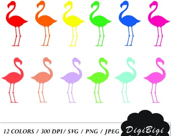 Colorful Flamingo Clipart: SVG, PNG, JPEG (Digital Download)