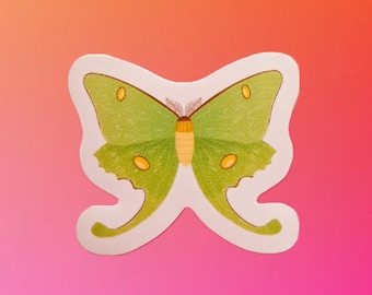 Luna Moth Sticker, Laptop Sticker, Vinyl Sticker, Cute Stickers, Cute Planner Stickers, Stocking Filler