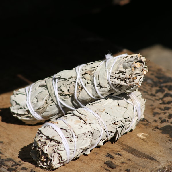 White Sage Smudge Sticks 4" - Native American Individual Smudge Stick 1~4 - (UK Supplier)