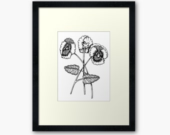 Pansies Printable Instant Digital Download, pansy flower Drawing | adult coloring page