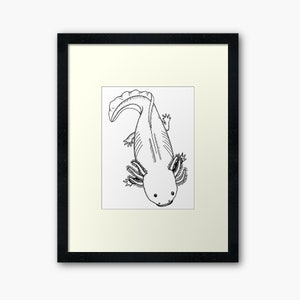 axylotyl drawing | adult coloring page