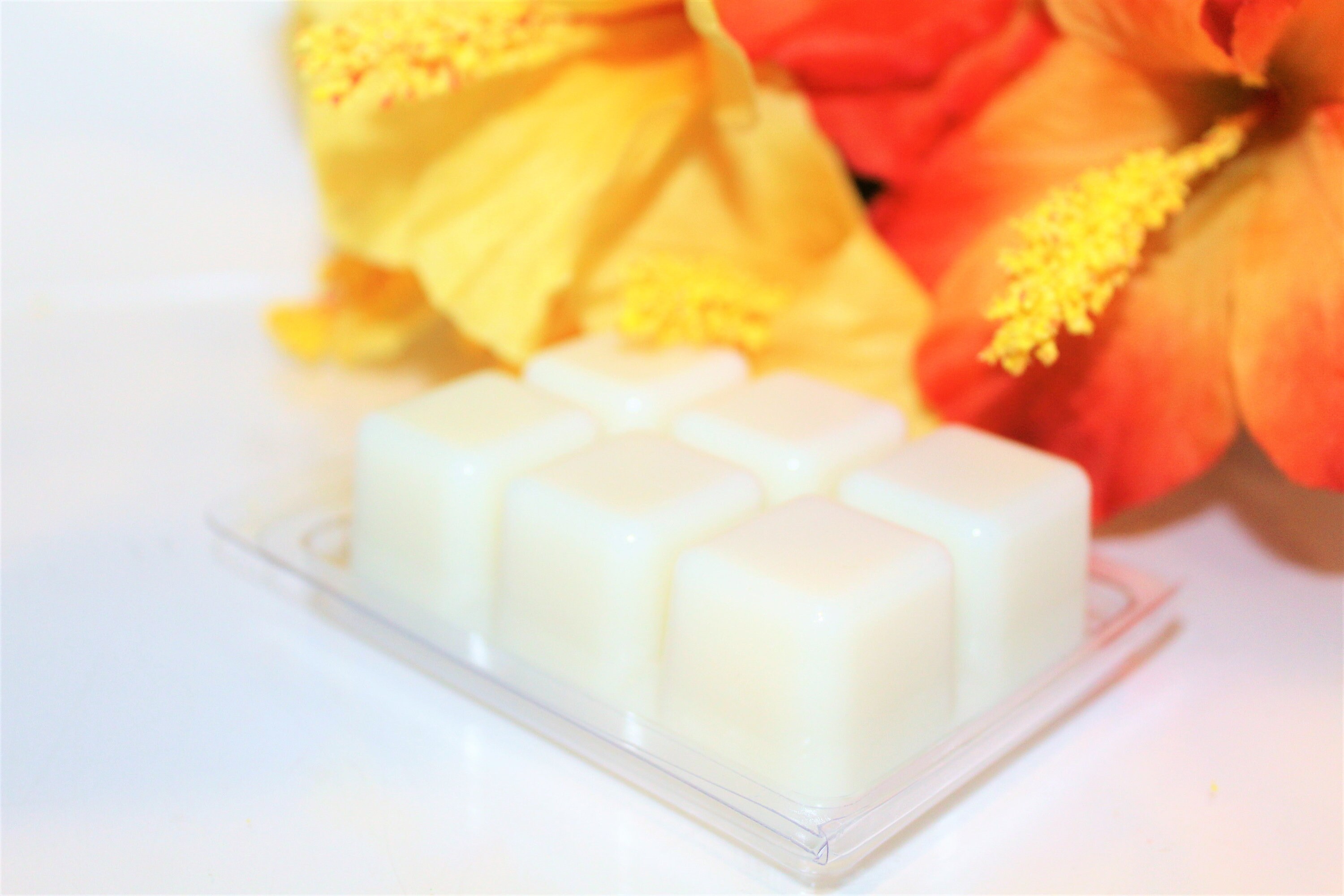 Spanish Gifts Sweet Wax Melts Tropical Wax Melts Wax Snap Etsy