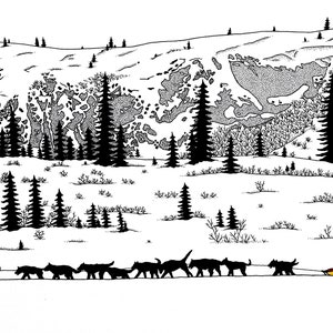 Sled Dogs