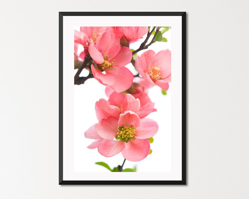 Extra Large Wall Art Large Pink Wall Art Light Pink Decor Etsy