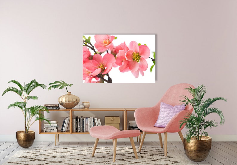 Coral Color Wall Art Coral Colored Decor Teen Girl Room | Etsy