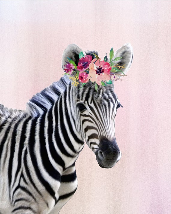 Baby Zebra Nursery Art Baby Zebra Art Baby Zebra Decor Baby Etsy