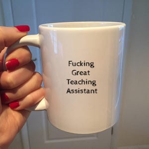 Funny Teaching Assistant Mug, Rude Teacher Gift