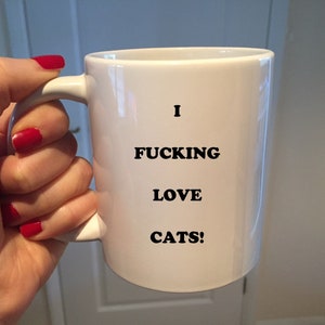 I Fucking Love Cats Mug, Funny Cat Lover Gift, Custom Coffee Cup for Cat Dads, Cat Moms & Partners, Ceramic Cup for Birthdays and Valentine