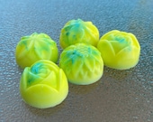 Wax Tarts