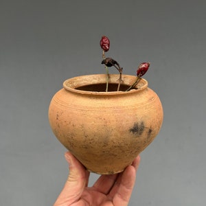 May include: A small, terracotta pot with a rounded base and a wide opening. The pot is filled with dried rose hips and stems.