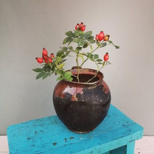 Clay pots, Ceramic vase, Clay pot, Ceramic pot, Flower vase, Ceramic flower pot, Ceramic vase, Ceramic dishes, Ceramic gift, Ceramic dishes