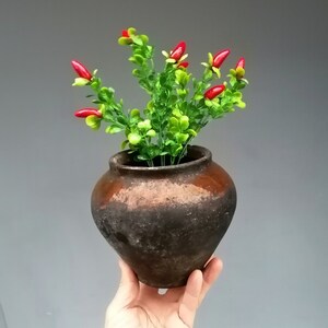 Peut inclure: Un petit pot en terre cuite avec un glacis brun rustique contient une plante verte avec des baies rouges.
