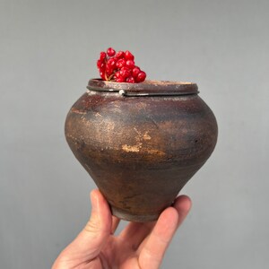 Puede incluir: Una olla de cerámica marrón rústica con tapa, sostenida en una mano. La olla está llena de un racimo de bayas rojas brillantes. La olla tiene una forma redondeada y una superficie texturizada.