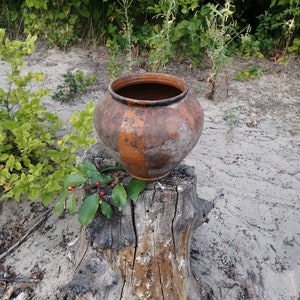 May include: A rustic brown clay pot sits on a weathered tree stump in a natural setting. The pot has a wide mouth and a rounded body, with a rough, textured surface. The stump is covered in bark and has a rough, uneven surface.