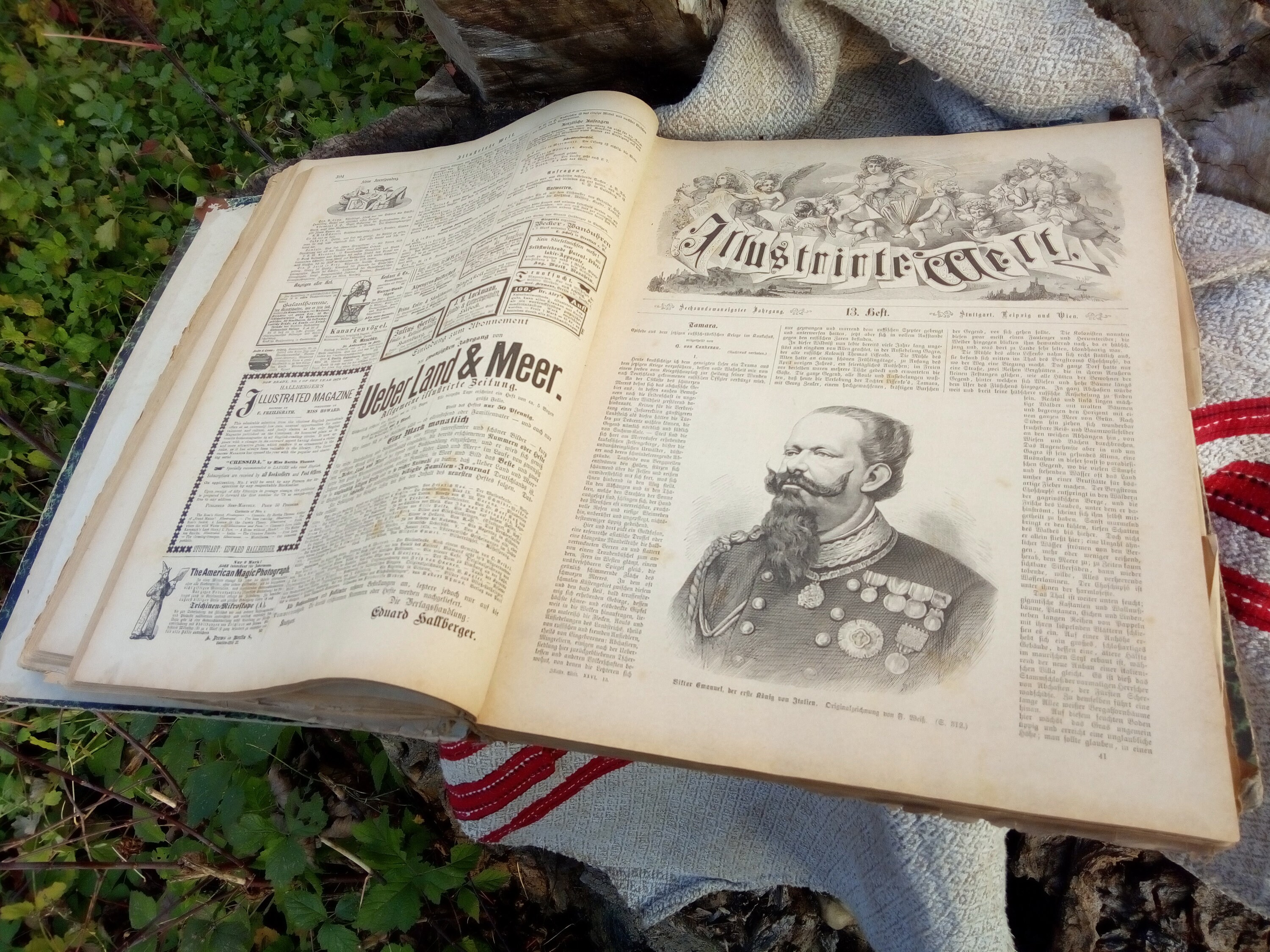 アンティークイラストブック（1878年）、希少な彫刻、コレクターズ