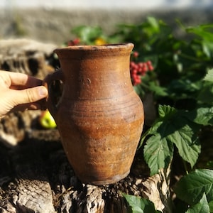 May include: A brown clay jug with a handle, sitting on a tree stump. The jug has a rustic, aged appearance and is surrounded by green foliage.