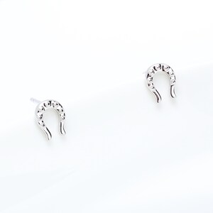 Lucky Horseshoe s925 sterlingzilveren oorbellen Valentijnsdag Verjaardagscadeau