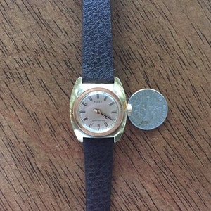 Pu&ograve; includere: Un orologio da polso Timex color oro con un cinturino in pelle marrone. L'orologio ha un quadrante quadrato con un quadrante bianco e lancette nere. L'orologio &egrave; resistente all'acqua.