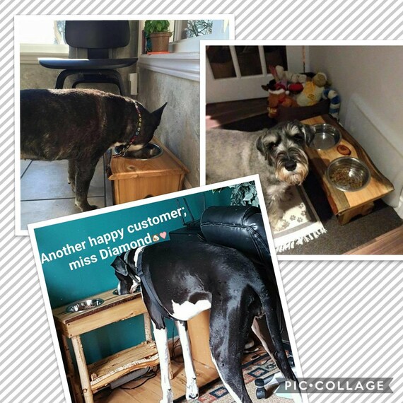 Custom Made Dog Feeders Etsy