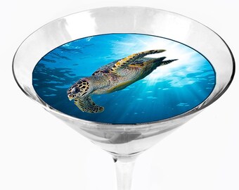 Snowy River Cocktail Toppers - Edible Drink Decorations (Spider Bite Design)