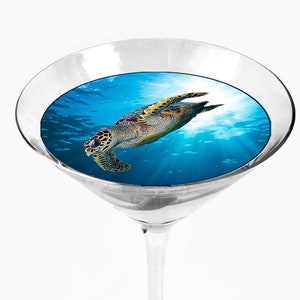 Snowy River Cocktail Toppers Turtle (1x6Pack)