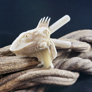 Iguana Kuripe - Hand Carved Bone
