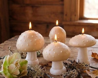 Paddenstoelkaars | Toadstool-geurende sojawaskaars | Cottagecore Fairycore-huisdecoratie | Grillige decoratieve kaars | Moederdagcadeau
