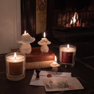 May include: Four white mushroom-shaped candles with flames burning. The candles are arranged on a wooden surface with a book and a postcard. The candles are in front of a fireplace with a fire burning.