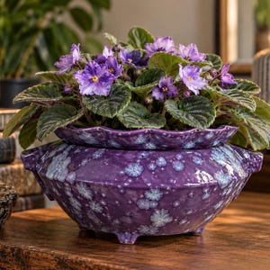 May include: A vibrant African violet plant with purple flowers and green leaves sits in a glossy, deep purple ceramic planter. The planter features a scalloped rim, small side handles, and a crystalline glaze pattern with light blue and white spots.