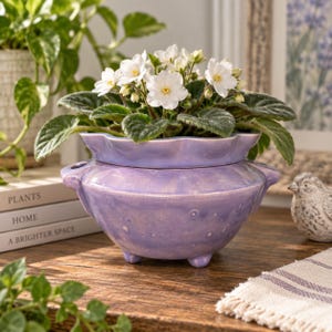 May include: A lavender ceramic self-watering planter with a scalloped rim and three small feet, containing a potted African violet plant with white flowers and dark green fuzzy leaves. The planter features a glossy finish and side openings.