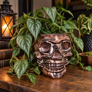 May include: A metallic copper-colored skull-shaped planter containing a trailing green plant with heart-shaped leaves. The skull features detailed eye sockets, a nasal cavity, and teeth, with a weathered, dark-toned finish throughout.