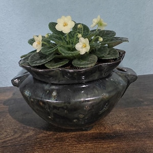 May include: A dark, mottled gray ceramic self-watering planter with a scalloped rim and side handles, containing a potted African violet plant with dark green, fuzzy leaves and several small, five-petaled white flowers with yellow centers.