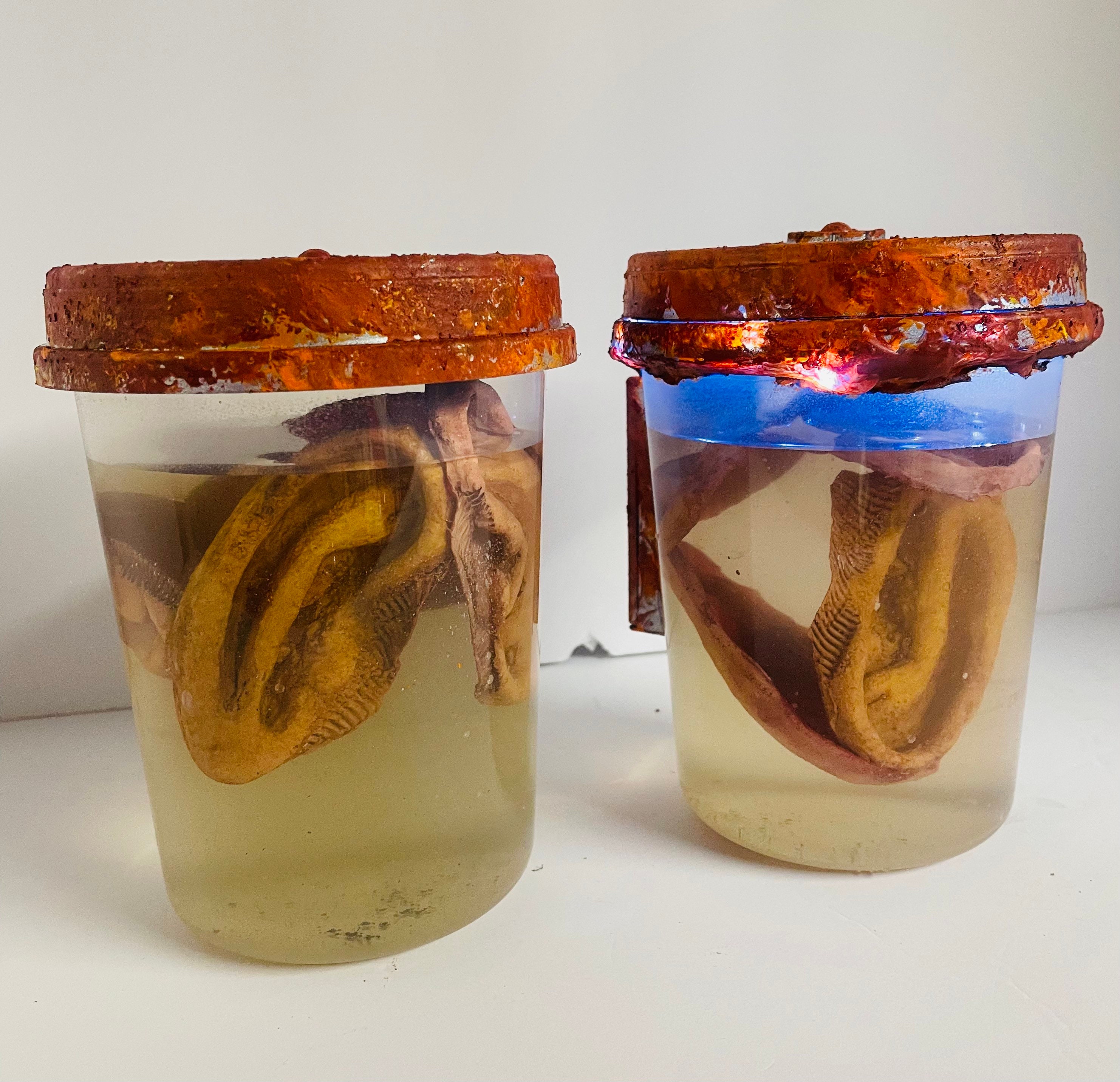 Ear Specimen Jar Etsy