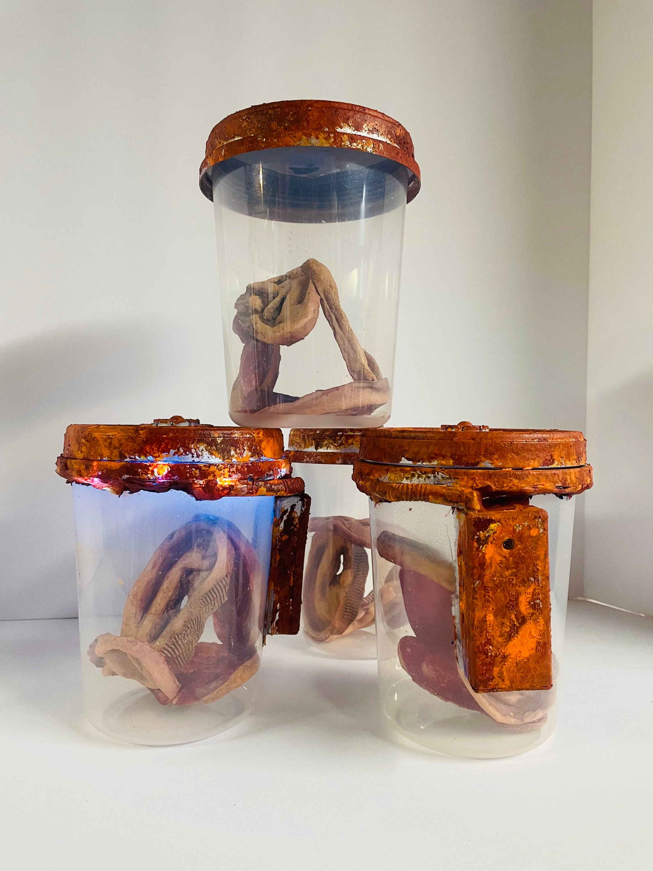 Ear Specimen Jar Etsy