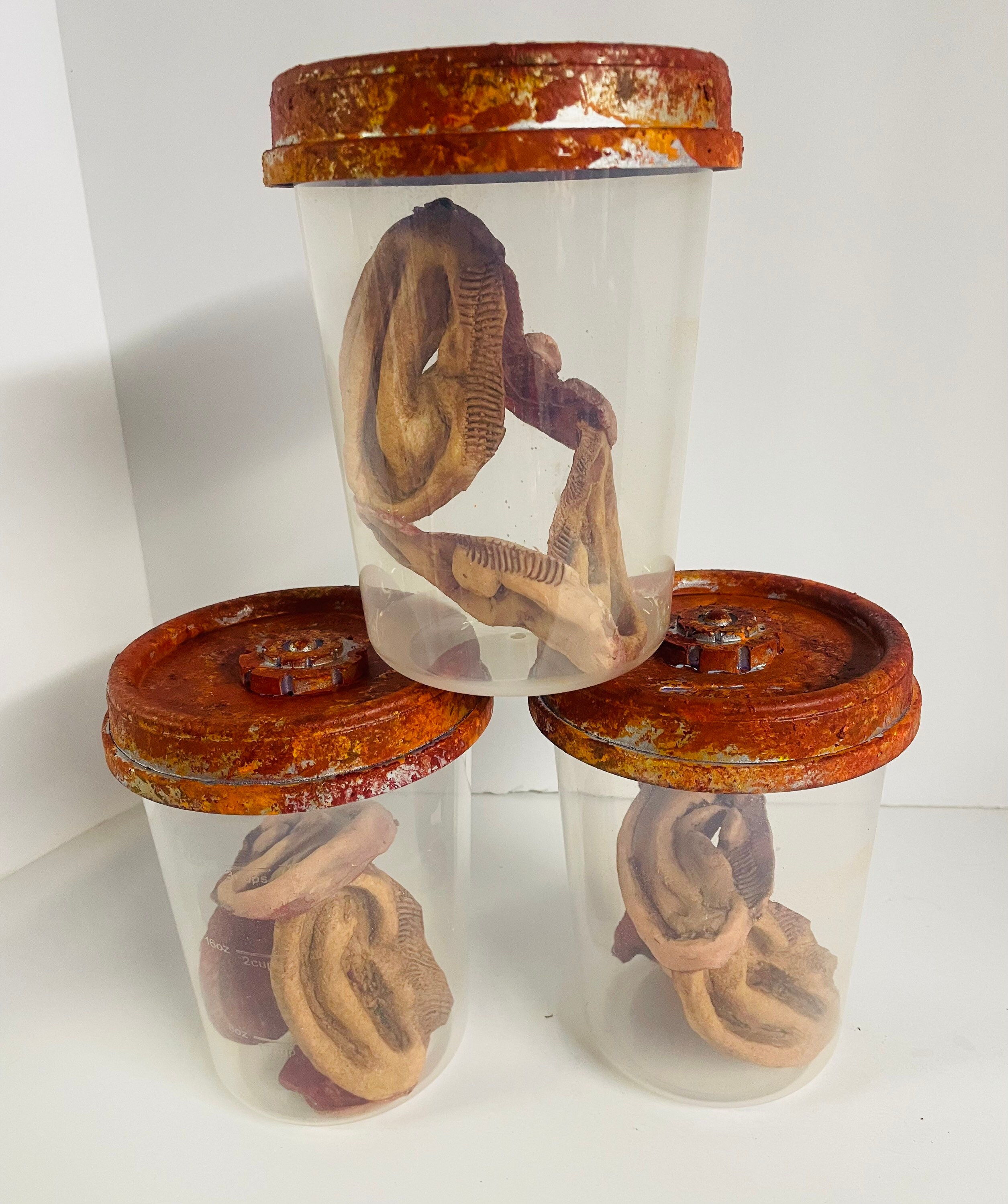 Ear Specimen Jar Etsy