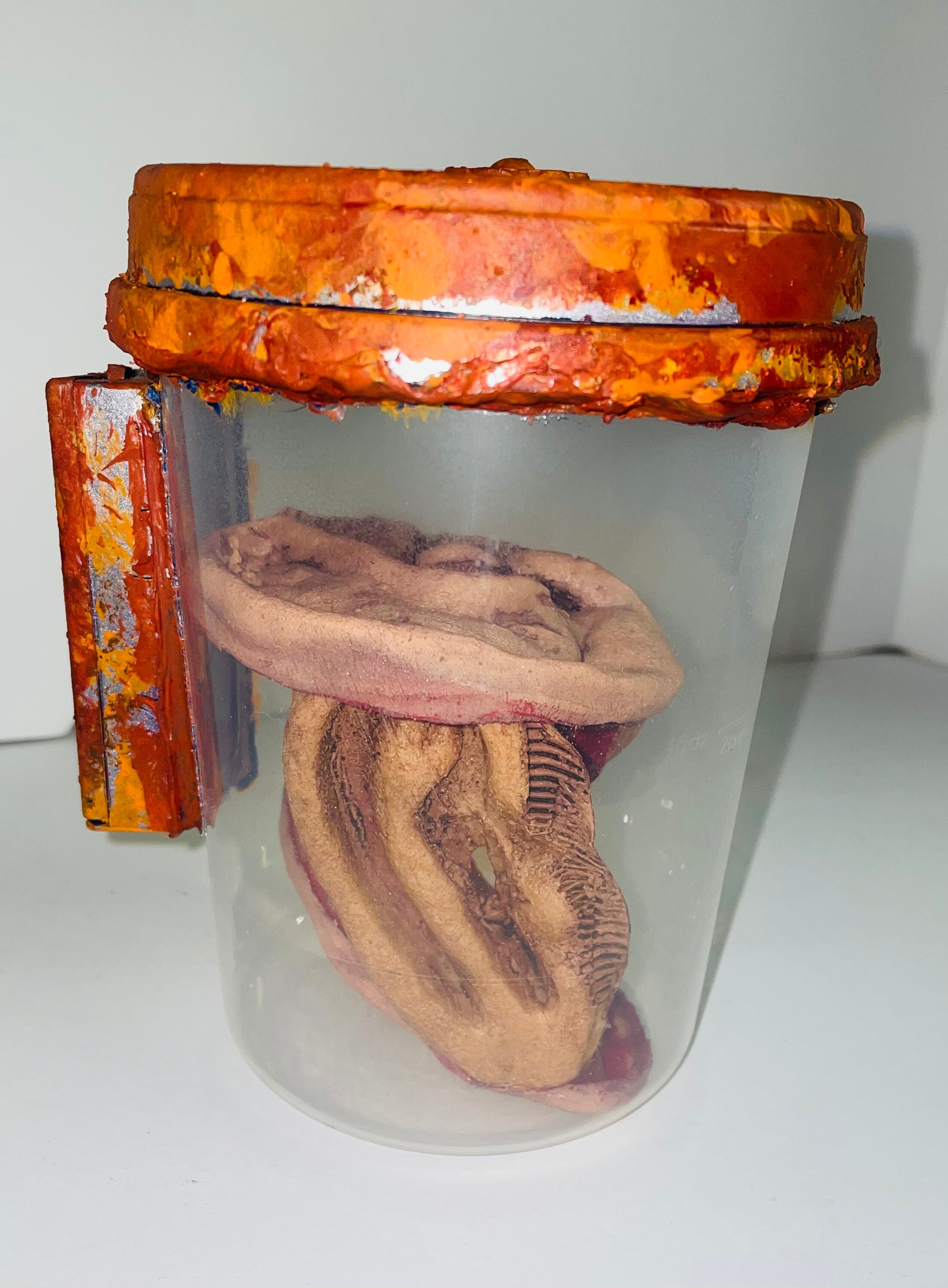 Ear Specimen Jar Etsy