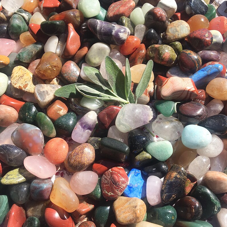 May include: A collection of tumbled stones in various colors and shapes, including green, red, brown, white, and blue. A sprig of green sage is placed on top of the stones.