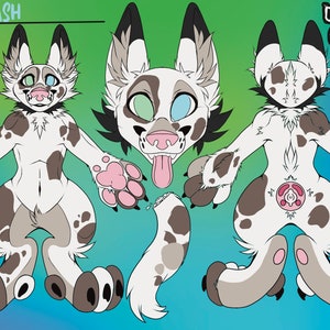 Folha de referência da Fursuit K9