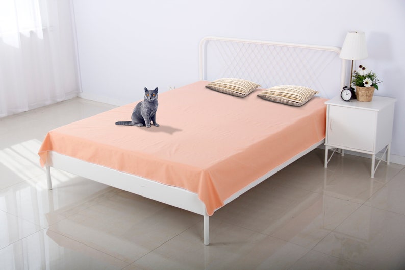 Waterproof Liner Pet Couch Cover Bed Cover for Dogs and Cats Sofa Cover Peach color Waterproof Pet Blanket Furniture Protector