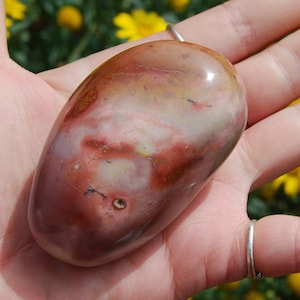 SALE was 22 | 3in 180g Pink Polychrome Jasper Carved Crystal Palm Stone