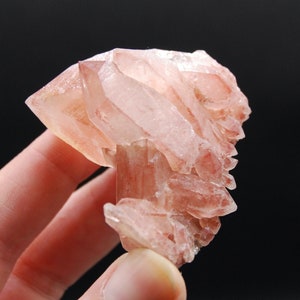 May include: A cluster of pink quartz crystals with a reddish hue. The crystals are translucent and have a pointed shape. The cluster is about 3 inches tall.