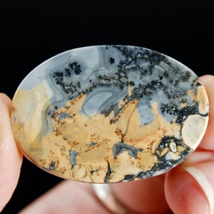 38mm AAA Maligano Jasper Cabochon Oval, Indonesia h23