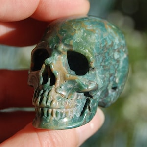 2in Rare Blue Opalized Petrified Wood Carved Crystal Skull