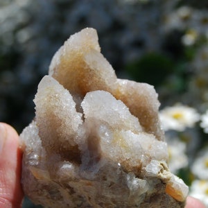 May include: A cluster of white quartz crystals with a brown, rocky base. The crystals are translucent and have a rough, textured surface.