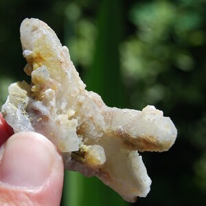 May include: A cluster of white quartz crystals with a yellow mineral inclusion. The crystals are clustered together in a rough, irregular shape.